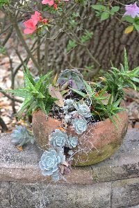the pot that i ignored_small