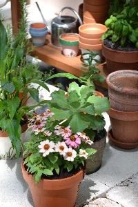 this just says spring to me_small