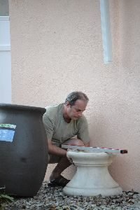 using an old fountain bottom to support our barrel_small