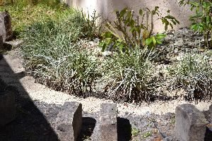 when the little path is filled with sand and paver sand and patted down by Gordon_small