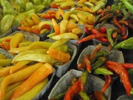 Anaheim and hot peppers_small