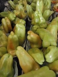 Anaheim peppers_small