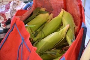 Bag full of corn 2_small