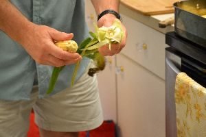 Gordon shucking corn 4_small