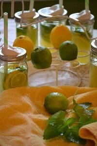 add some herbs with some slices of lemons and limes_small