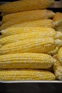 all the corn_small