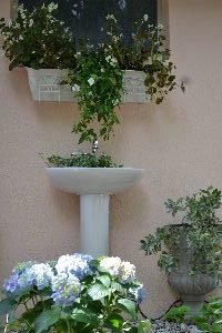 backyard sink_small