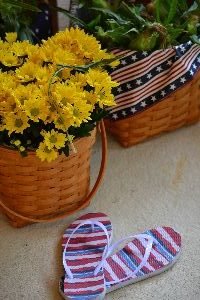 corn flowers and flip flops_small