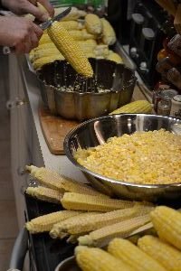 drowning in corn_small