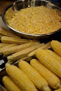 look at all this corn_small