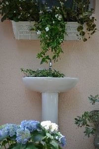 our backyard sink_small