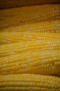 peaches and cream corn on the cob_small