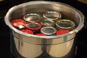 pressure cooker for canning_small