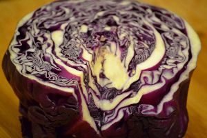 purple cabbage for me_small
