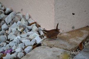 shes keeping an eye on us_small
