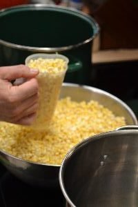 sorting the corn into two different pots_small