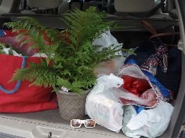 trunk is full lets go now_small