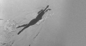 Julie Adams 5_small