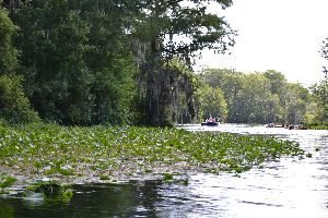 venturing out into the springs_small