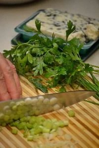 2-spring-onions-parsley-and-cheese_small