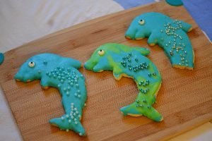 dolphin cookies and Winter_small