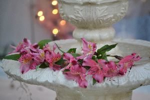 fountain flowers_small