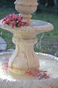 my fountain this morning_small