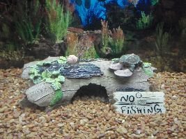 no fishing_small