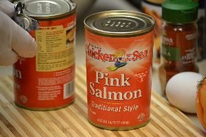 salmon from a can_small