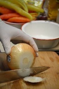 an onion_small