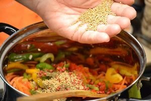 mustard seed_small