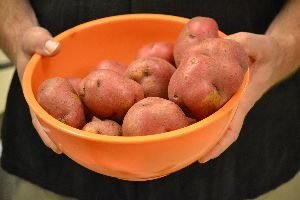 some red potatoes_small