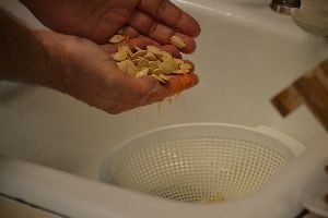 1 remove seeds_small
