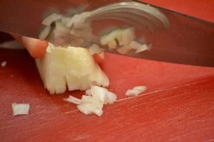 14-chopping-the-onion_small