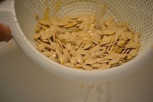 3 remove seeds_small