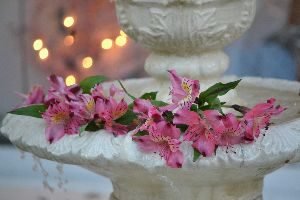 our-backyard-fountain-with-flowers_small