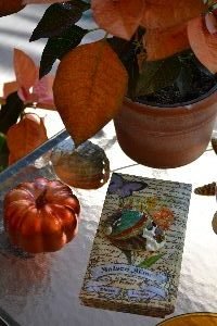 sea-shells-and-napkins-and-pumpkins_small