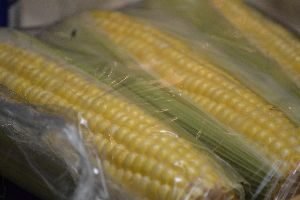104 corn on the cob_small