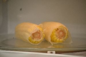 107 the corn is finished_small