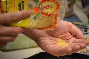 27 adding mustard powder_small
