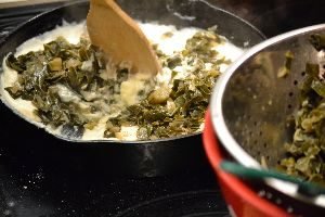 32 we created a cheese sauce_small