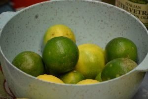 6 our key limes from our tree_small