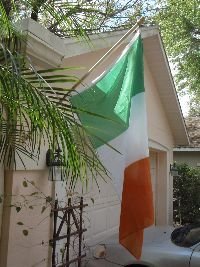 Flag of Ireland_small