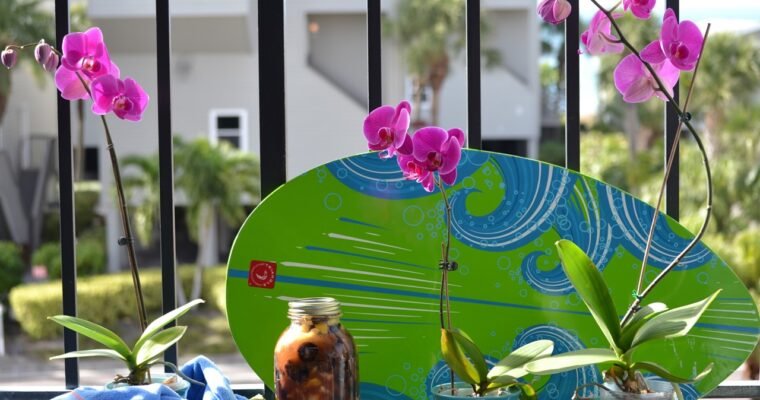 Hawaiian Hum Lum Sun Prunes
