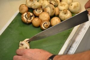 41 mushrooms_small