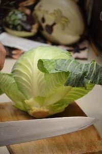 42 cabbage_small