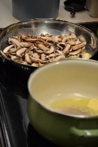 44 mushrooms_small