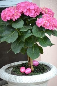 Easter egg pink_small