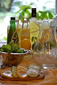Julies Drunken Spring Lemonade_small
