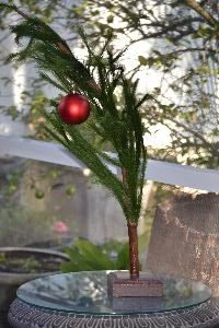 Our Charlie Brown tree_small